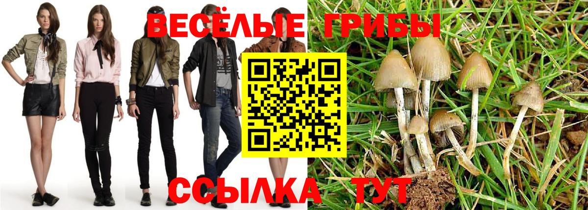 Псилоцибиновые грибы мицелий  Вход с VPN  закладки  Псилоцибиновые грибы ЛСД  Морозовск 
